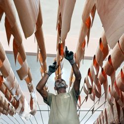 Un trabajador cuelga láminas de cedro laminado para secarlas en la Mipyme 'Laminados Concepción', ubicada en la ciudad de Cabaiguán, provincia de Sancti Spíritus, Cuba. Un empresario cubano logró montar la única empresa privada en la isla que vende al Estado láminas delgadas de cedro, utilizadas para envolver y conservar los famosos puros de exportación del país, ahorrándole así al gobierno una pesada factura de importación. | Foto:YAMIL LAGE / AFP