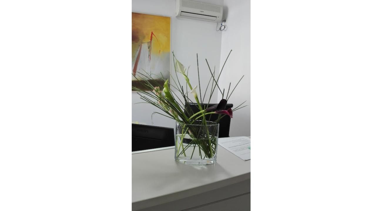 Flores en el hogar: de la belleza y el equilibrio a la paz interior