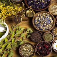 Fitoterapia: Una Mirada Natural para la salud por Nutrireiki