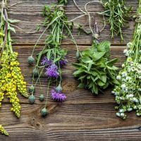 Fitoterapia: Una Mirada Natural para la salud por Nutrireiki