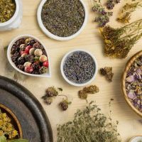Fitoterapia: Una Mirada Natural para la salud por Nutrireiki