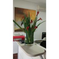 Flores en el hogar: de la belleza y el equilibrio a la paz interior
