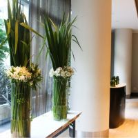 Flores en el hogar: de la belleza y el equilibrio a la paz interior