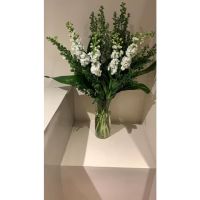 Flores en el hogar: de la belleza y el equilibrio a la paz interior