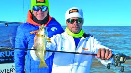 0806_corvinas_atalaya