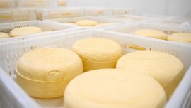 El Ministerio de Salud confirmó un brote de listeriosis por el consumo de un queso