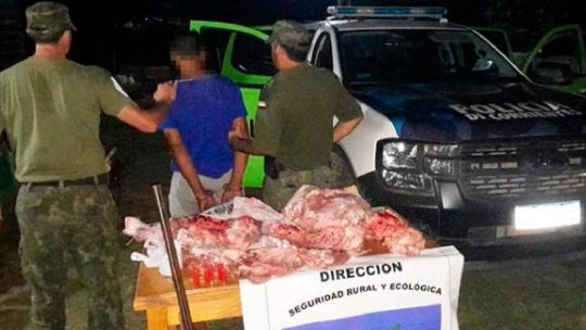 Corrientes: detienen a 3 cazadores furtivos con carne de carpincho y yacaré