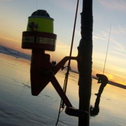 Escualo fue una marca que generó un quiebre y copó la industria local entre los reeles frontales. Pescador, Peter y Piqueras fueron otras destacadas, aunque en lo que respecta a rotativos. 
