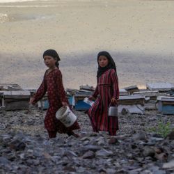 Niñas afganas pasan frente a una granja de abejas en las afueras del distrito de Fayzabad, en la provincia de Badakhshan. | Foto:OMER ABRAR / AFP