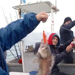 La extracción del cazón hembra llamó la atención de los biólogos y abre más dudas de que hacen los cazones en invierno o si están cambiando sus hábitos migratorios. 