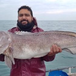 La extracción del cazón hembra llamó la atención de los biólogos y abre más dudas de que hacen los cazones en invierno o si están cambiando sus hábitos migratorios. 