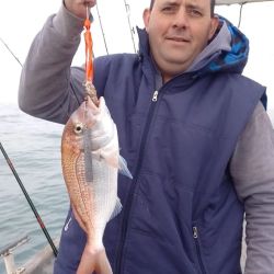 La extracción del cazón hembra llamó la atención de los biólogos y abre más dudas de que hacen los cazones en invierno o si están cambiando sus hábitos migratorios. 