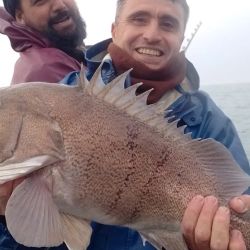 La extracción del cazón hembra llamó la atención de los biólogos y abre más dudas de que hacen los cazones en invierno o si están cambiando sus hábitos migratorios. 