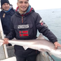 La extracción del cazón hembra llamó la atención de los biólogos y abre más dudas de que hacen los cazones en invierno o si están cambiando sus hábitos migratorios. 