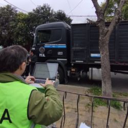 En total, se incautaron más de 3,000 trofeos de caza,