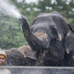 Un elefante asiático rocía agua con su trompa en el Parque Safari Fuji en la ciudad de Susono, en la prefectura de Shizuoka, Japón. | Foto:Yuichi Yamazaki / AFP