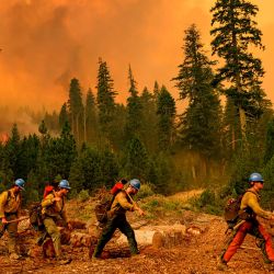 Un equipo de Plumas Hotshots camina desde una línea de fuego durante el incendio de Park en el área de Mill Creek del condado de Tehama en California. El incendio, en dos semanas, ha quemado unas 414.042 acres (167.557 hectáreas) con una contención del 34%, según Cal Fire. | Foto:JOSH EDELSON / AFP