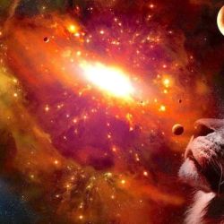 Portal del León de este 8 de agosto del 2024