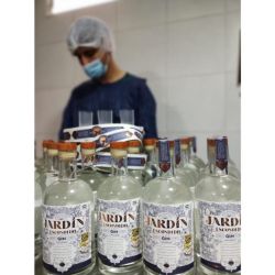 ¿Querés un gin hecho a pedido? Destilería del Jardín acude a tu servicio | Foto:CEDOC