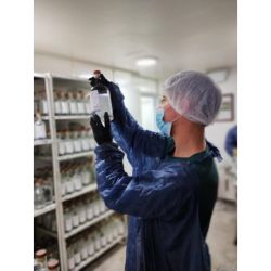 ¿Querés un gin hecho a pedido? Destilería del Jardín acude a tu servicio | Foto:CEDOC