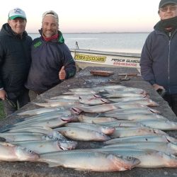 El clima no acompañó a los pescadores que, no obstante, buscaron la alternativa para seguir disfrutando de la actividad.