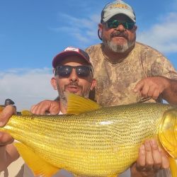 Para el surubí, el límite con Empedrado, lejos de Bella Vista es la zona que más paga, con ejemplares que han oscilado los 20 a 50 kg. 
