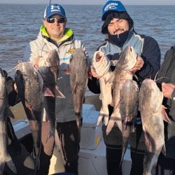 Pejerreyes y bagres de mar, combo de lujo de dos especies muy deportivas y que son un imán para los pescadores. 