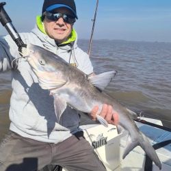 Pejerreyes y bagres de mar, combo de lujo de dos especies muy deportivas y que son un imán para los pescadores. 