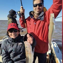 Pejerreyes y bagres de mar, combo de lujo de dos especies muy deportivas y que son un imán para los pescadores. 