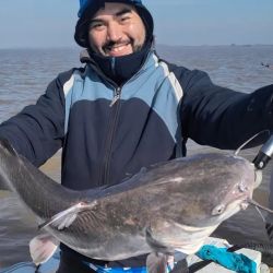 Pejerreyes y bagres de mar, combo de lujo de dos especies muy deportivas y que son un imán para los pescadores. 
