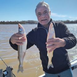 Pejerreyes y bagres de mar, combo de lujo de dos especies muy deportivas y que son un imán para los pescadores. 