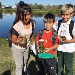 Tendrá una extensión de 55 hectáreas.