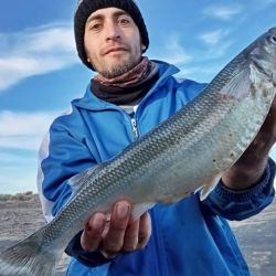 No todos se embarcaron por el viento, aunque los que lo hicieron dieron con buenas faenas con pejerreyes en ámbitos bonaerenses y dorados en el litoral. 