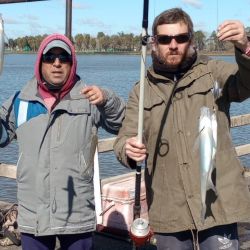 No todos se embarcaron por el viento, aunque los que lo hicieron dieron con buenas faenas con pejerreyes en ámbitos bonaerenses y dorados en el litoral. 
