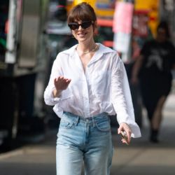 dakota johnson jeans anchos