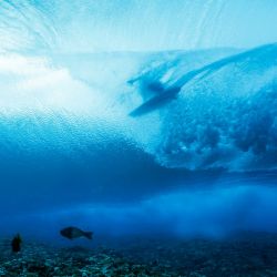 El italiano Leonardo Fioravanti se desliza en un tubo en la octava serie de la primera ronda de surf masculino, durante los Juegos Olímpicos de París 2024, en Teahupo'o, en la isla polinesia francesa de Tahití. | Foto:Ben Thouard / POOL / AFP