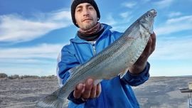No todos se embarcaron por el viento, aunque los que lo hicieron dieron con buenas faenas con pejerreyes en ámbitos bonaerenses y dorados en el litoral.