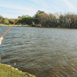 Una caña puede abrirle un sinfín de oportunidades a un niño. Los lleva a hacer amigos, a cuidar la naturaleza, a aprender de las especies y muchas cosas más que nos brinda el contacto con al aire libre.