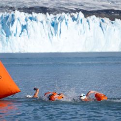 Nadadores compiten durante la Copa del Mundo de Natación de Invierno frente al Glaciar Perito Moreno en el Parque Nacional Los Glaciares en El Calafate, provincia de Santa Cruz, Argentina. La competencia, en la que participan más de 100 nadadores de 14 países, es la primera etapa de la Copa del Mundo IWSA. | Foto:Walter Diaz / AFP