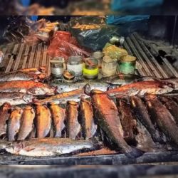 La trucha fue la especie que detectaron entre los pescadores sancionados. 