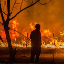 Son varios los departamentos salteños afectados por el fuego.