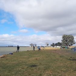 La Barrancosa es una laguna que necesita estar bien oxigenada para que los matungos se muevan y den con nuestras carnadas.