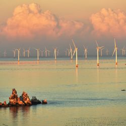 Imagen de un parque eólico marino, en Dalian, en la provincia de Liaoning, en el noreste de China. En los últimos años, la región noreste de China ha estado acelerando el diseño de la industria de la energía limpia, como la energía eólica, solar y de hidrógeno para promover la revitalización completa del noreste de China. | Foto:Xinhua/Yang Qing