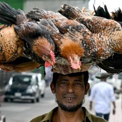 Un trabajador lleva gallos a una tienda de aves de corral en Dhaka, Bangladesh. | Foto:Indranil Mukherjee / AFP