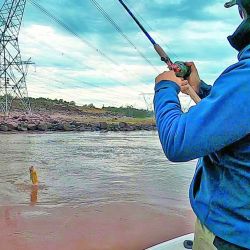 Con la gran pared de la represa como telón de fondo con sus exclusas largando agua, la actividad de los grandes dorados buscando presas en aguas turbulentas se potencia.  Allí, usando señuelos enormes, damos con los grandes.