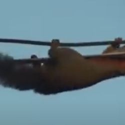 Ya se han devorado cientos de cables de electricidad, Internet y de televisión.