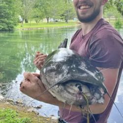 El bagre de canal de 43,51 pulgadas, casi el doble de lo normal para la especie en la región, acusó 46,70 libras en la balanza.