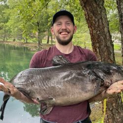 El bagre de canal de 43,51 pulgadas, casi el doble de lo normal para la especie en la región, acusó 46,70 libras en la balanza.
