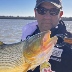 Los dorados son la atracción en cada uno de los pesqueros, tanto del Uruguay como del Paraná.