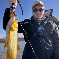 Los dorados son la atracción en cada uno de los pesqueros, tanto del Uruguay como del Paraná.